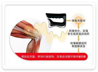 对筋膜的作用原理