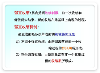 对肌肉的作用原理