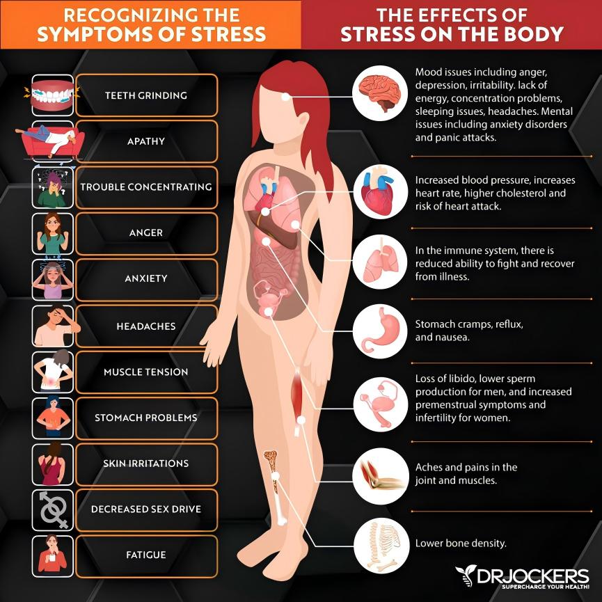 1734323410132925.jpg 图8.jpg