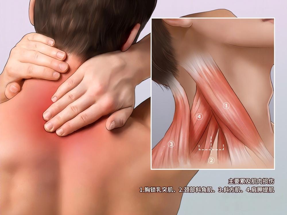 1734324723600765.jpg 图2.jpg