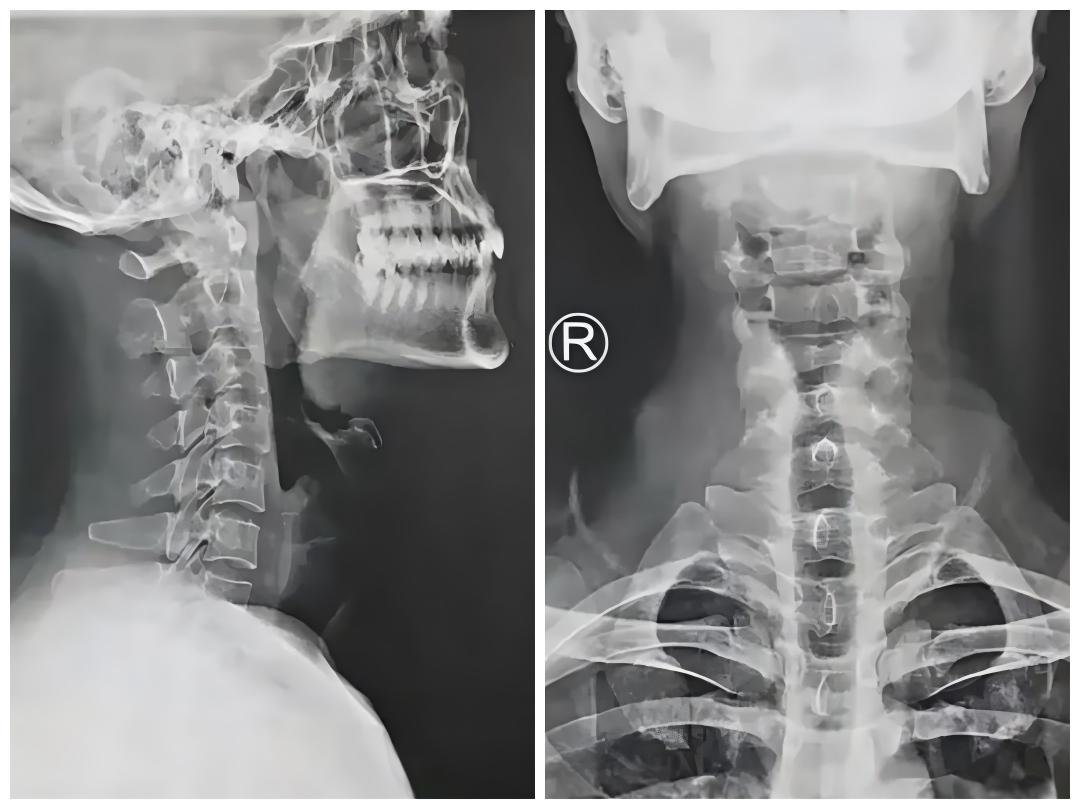 1734324780552114.jpg 图4.jpg