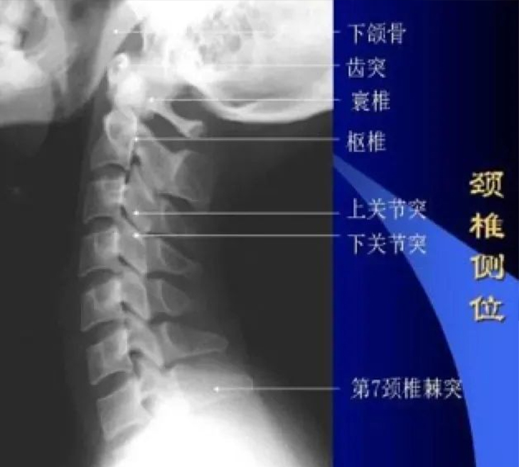 1736737353587327.jpg 01.jpg