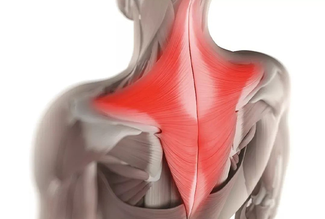 1736737423570115.jpg 03.jpg