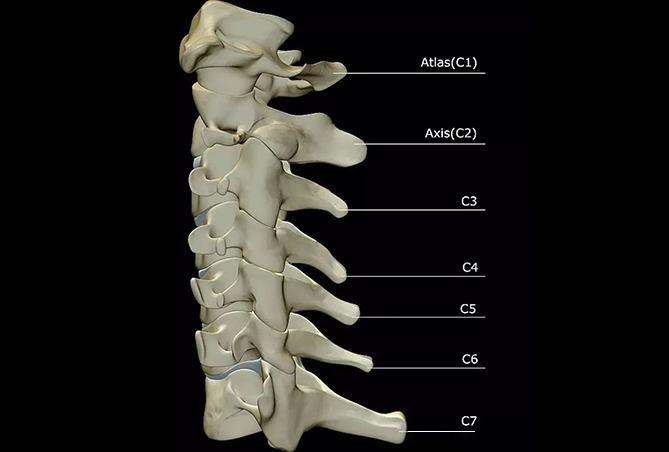 1736737511885838.jpg 04.jpg