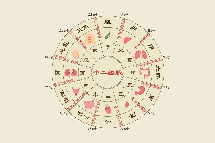 01十二经脉.jpg