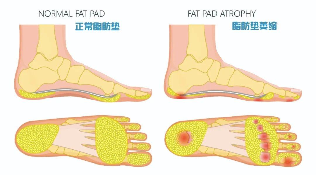 1740363235279937.jpg 06.jpg