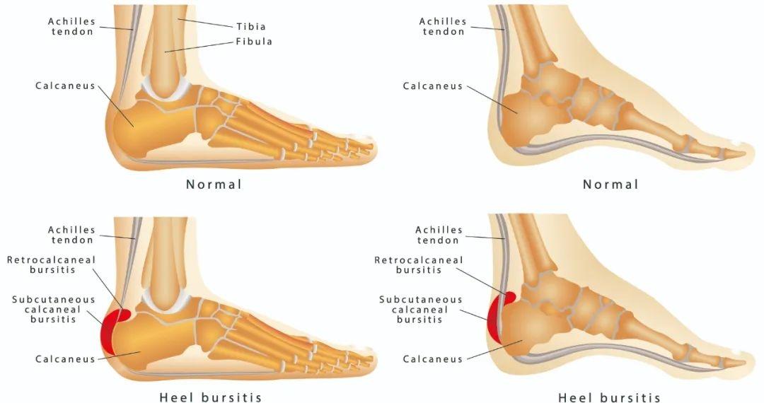 1740363290721344.jpg 08.jpg