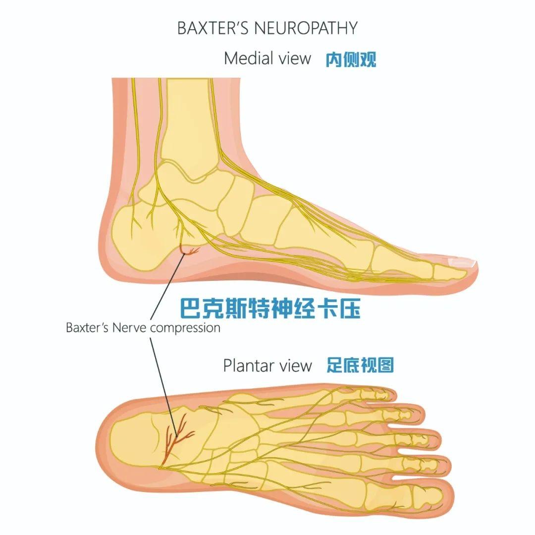 1740363382562801.jpg 11.jpg