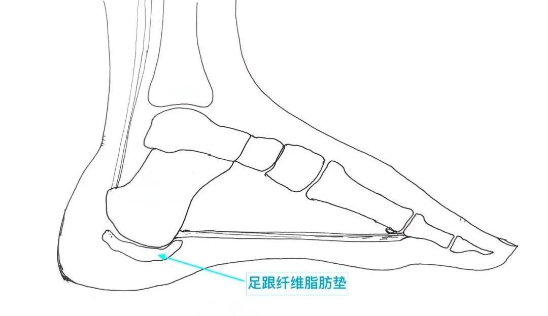 1740363416425934.jpg 12.jpg