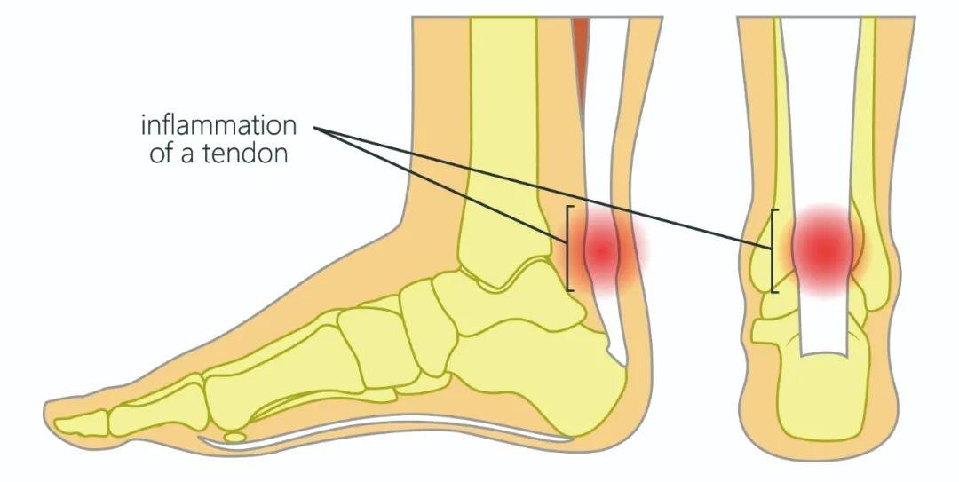 1740363441851075.jpg 13.jpg