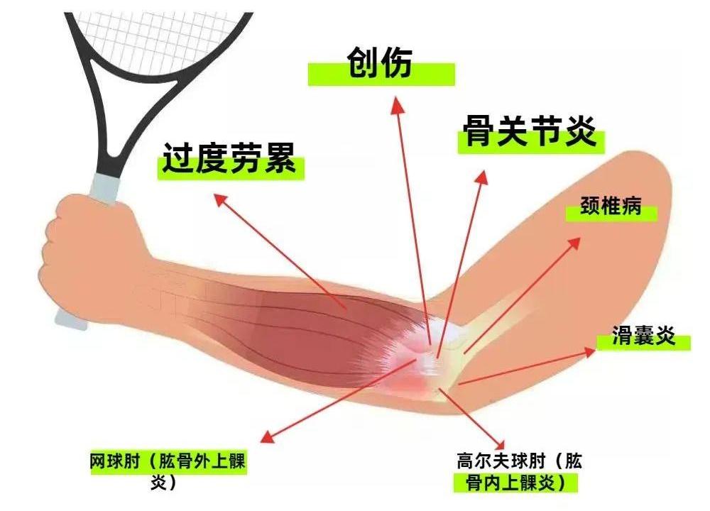 1740967026211807.jpg 图片 1.jpg